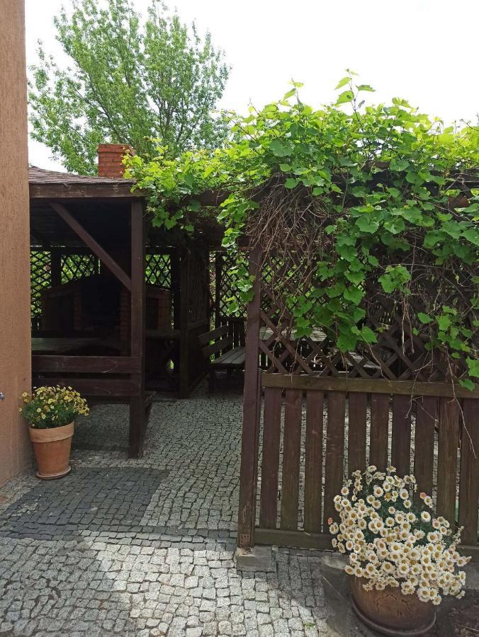 Noclegi Na Portowej Sandomierz Bagian luar foto